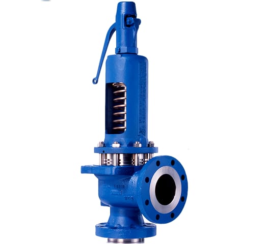 Safety Relief Valve