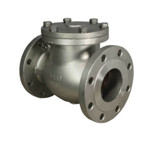 Swing Check Valve