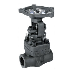 Forge Steel Gate Valve
